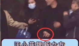 新爆料汪小菲视频播放在线观看,在线观看揭秘幕后故事